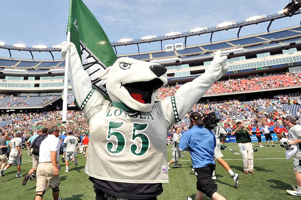 The Loyola Greyhound mascot with its hands in the air, one holding a green Loyola flag