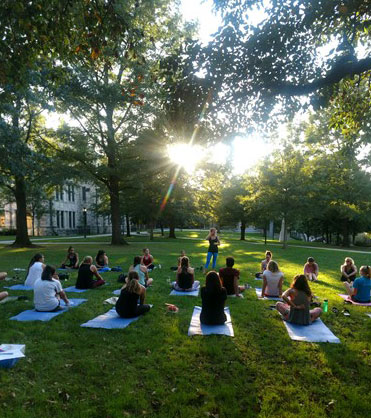 An early morning yoga class on a bright green quad as the sun peeks between the trees
