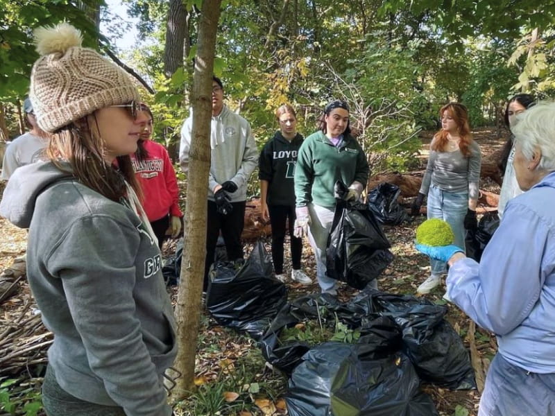 People gather in the woods to discuss the benefits of the native Pawpaw tree.