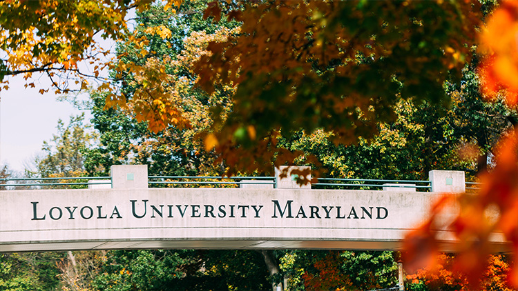 The Loyola University Maryland bridge surrounded by fall foliage