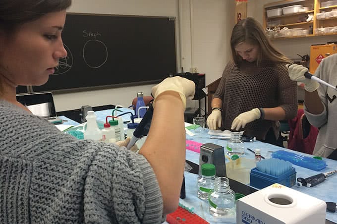 Students using pipettes in the lab
