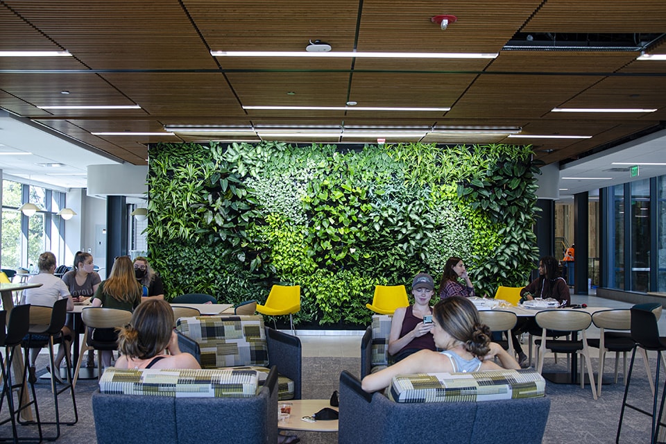 Students seated in front of the living green wall inside the Fernandez Center