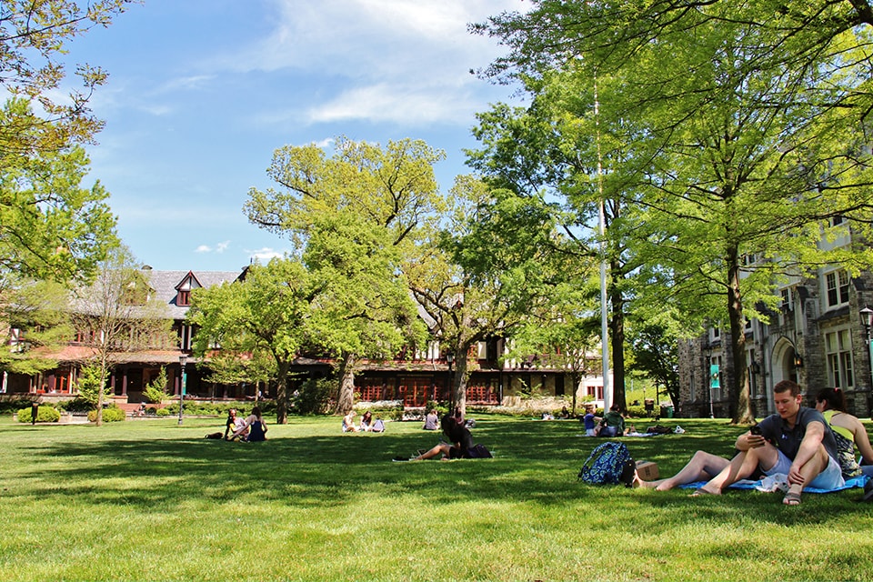 Students enjoy sitting under the shade of the quad's many trees