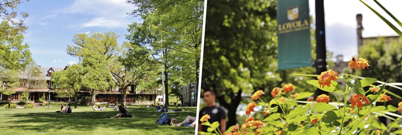 Students among the nature on the academic quad