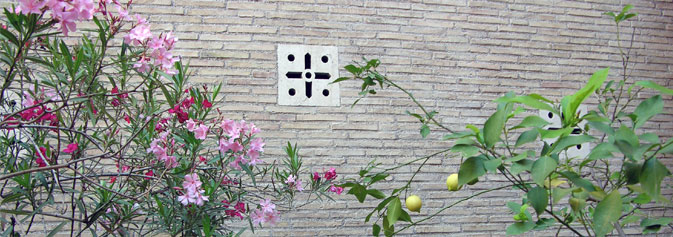 Young flowers sprouting in front of an exterior chapel wall