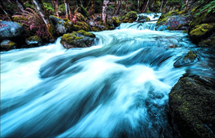 rapid waterfalls flowing in nature
