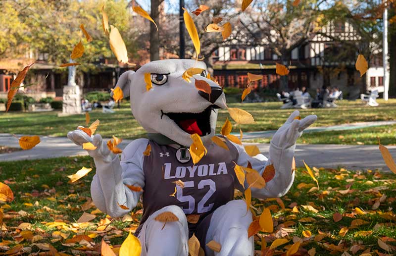 Iggy the greyhound mascot throwing fallen leaves into the air