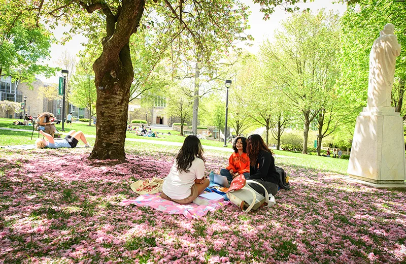 Students sit on the grass on Loyola's quad, surrounded by fallen cherry tree blossom petals
