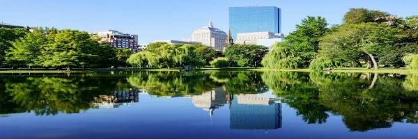 Boston's Public Garden against a bright blue sky