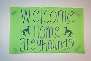 Bright green sign reading 'Welcome Home Greyhounds'