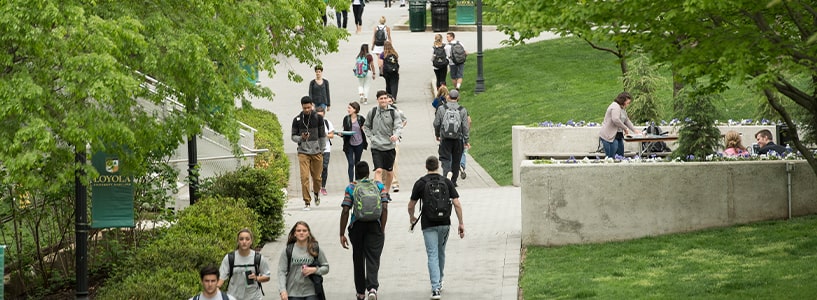 Students walk along the pathway on the lush green Quad