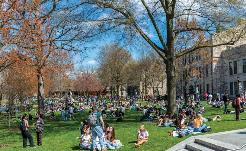 Students sitting on the grassy Loyola quad on a summer day