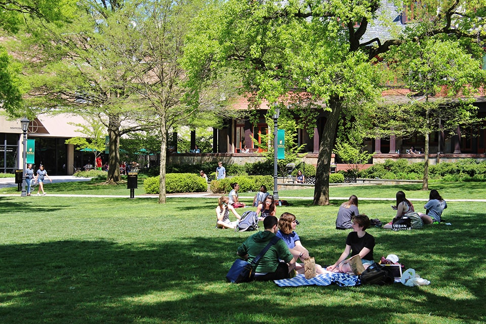 Many students sitting on the grass of the quad on a bright, sunny day