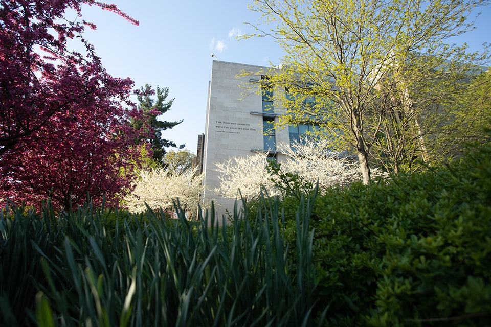 Low shot of a garden with colorful trees and plants with a large building in the background