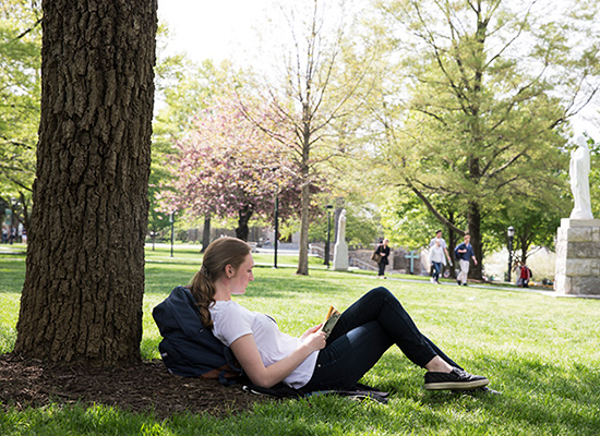 A female student studying near a tree on Loyola's academic Quad