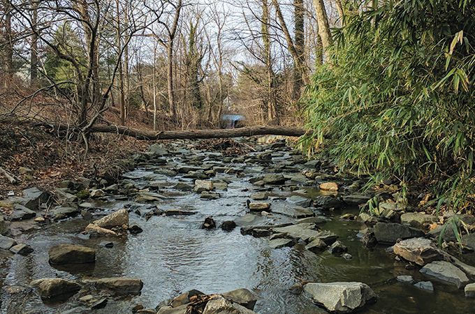 A view of the river that runs along Stony Run Trail.