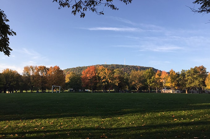 A sunny day with fall foliage at Montreal's Mont Royal Park