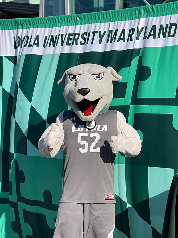 Greyhound Iggy mascot standing in front of a Loyola flag