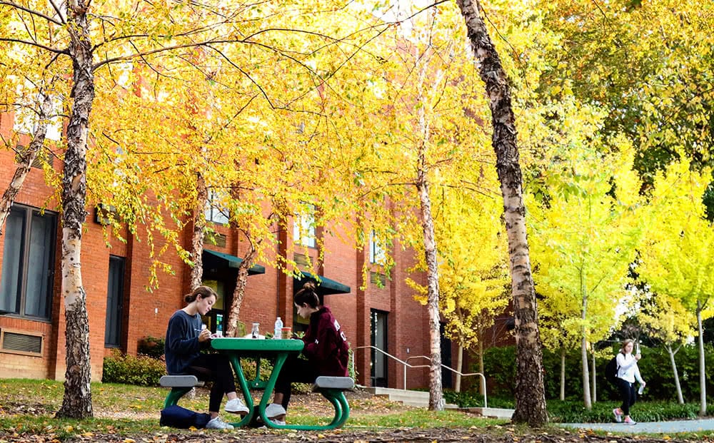 Two students sitting at a picnic bench with red-bricked buildings in the background and trees with yellow fall foliage