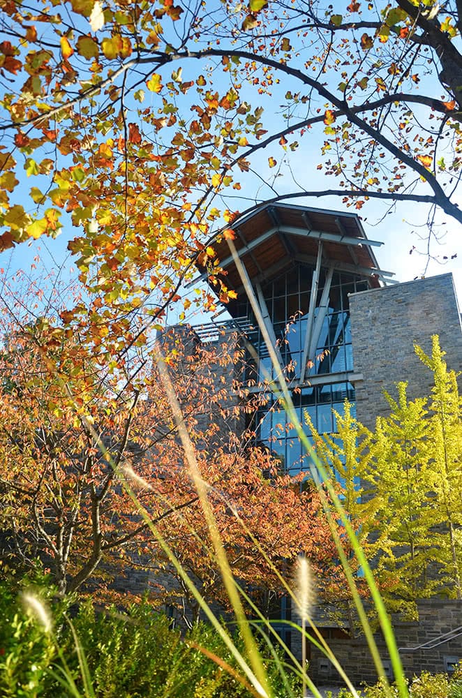 The top of the Sellinger Building framed by fall foliage 