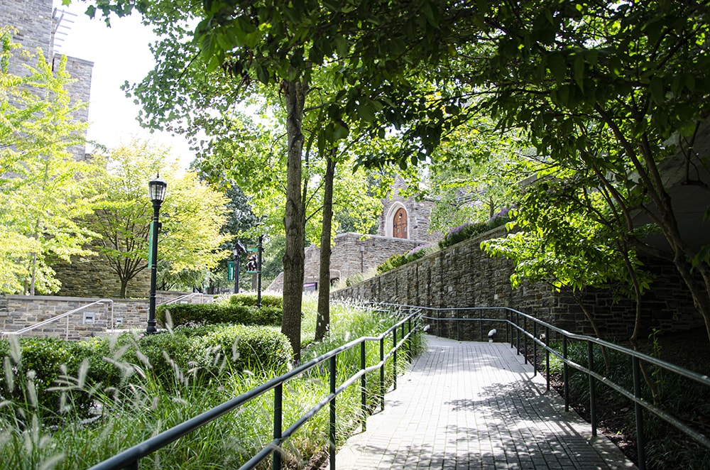 A stone walkway surrounded by lush greenery leading to Sellinger Hall