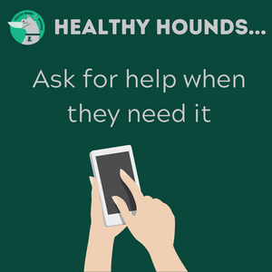Healthy Hounds ask for help when they need it