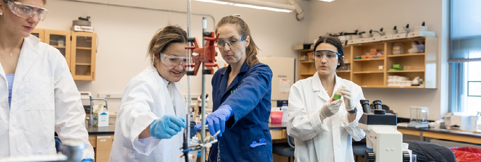 students working a laboratory