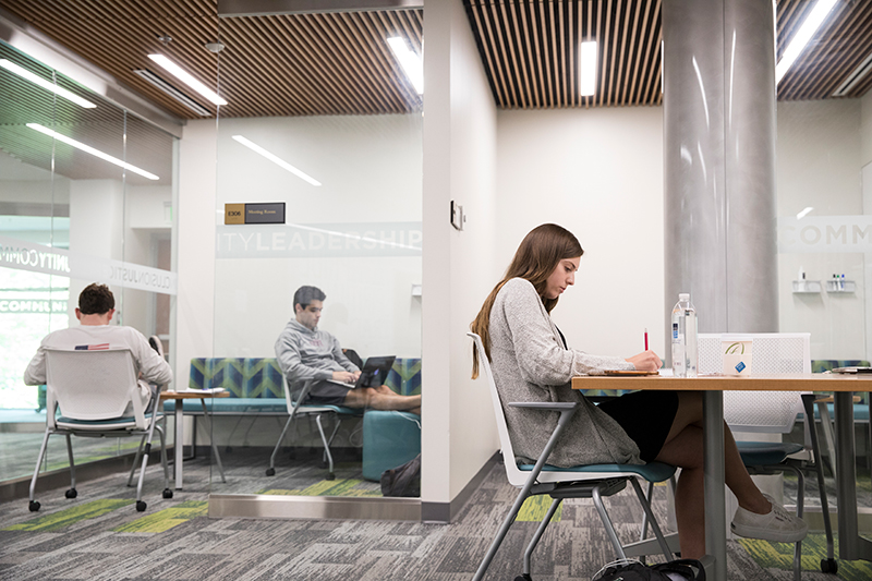 Students studying in the Andrew White Student Center on Loyola University Maryland's Evergreen campus.